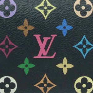 LOIUS VUITTON Multi Color